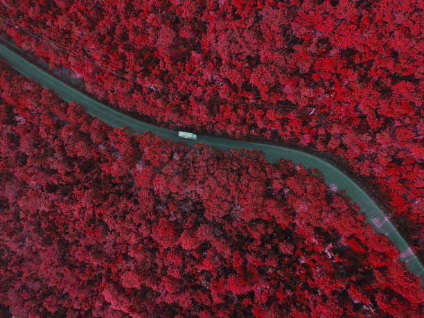 白のフラット ベッド カーゴ トラック ショット ダウン山赤外線効果空中上で道を走行 - forest autumn aerial view leaf ストックフォトと画像
