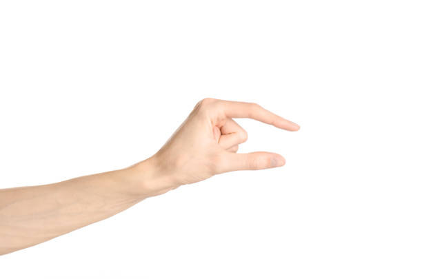 istock Hand gestures theme: the human hand shows gestures isolated on white background in studio 1045363324