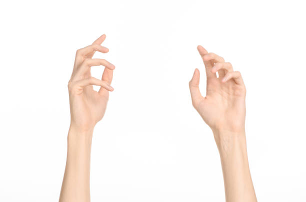 istock Hand gestures theme: the human hand shows gestures isolated on white background in studio 1045363362