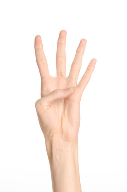 istock Hand gestures theme: the human hand shows gestures isolated on white background in studio 1045363448