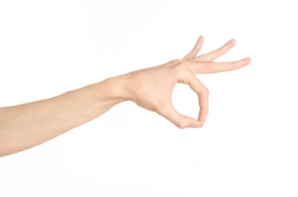 istock Hand gestures theme: the human hand shows gestures isolated on white background in studio 1045363478