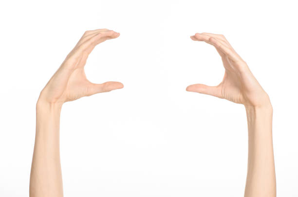 istock Hand gestures theme: the human hand shows gestures isolated on white background in studio 1045363670