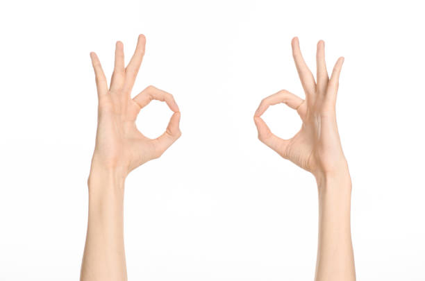 istock Hand gestures theme: the human hand shows gestures isolated on white background in studio 1045363796