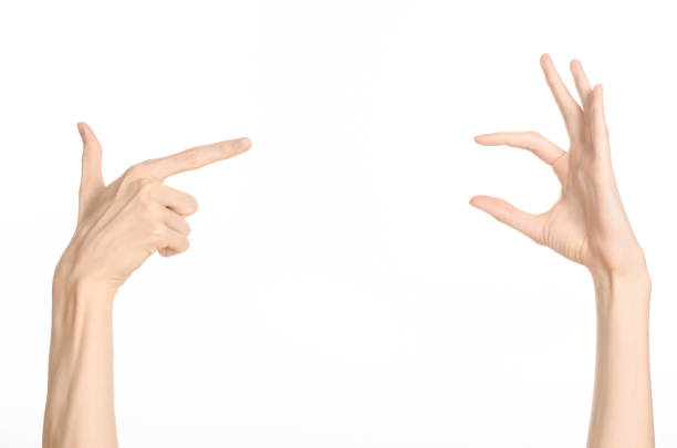 istock Hand gestures theme: the human hand shows gestures isolated on white background in studio 1045363950