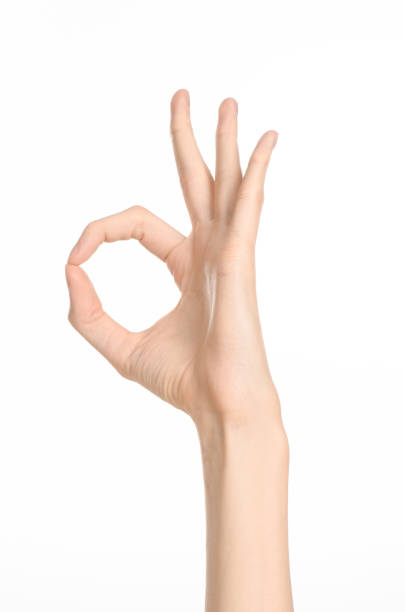 istock Hand gestures theme: the human hand shows gestures isolated on white background in studio 1045364270