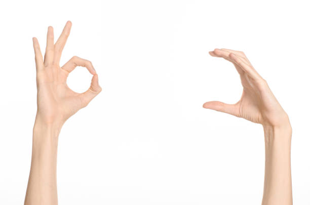 istock Hand gestures theme: the human hand shows gestures isolated on white background in studio 1045364434