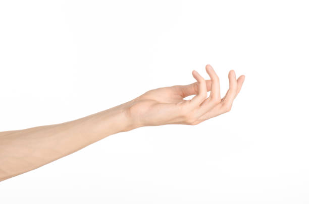 istock Hand gestures theme: the human hand shows gestures isolated on white background in studio 1045364476