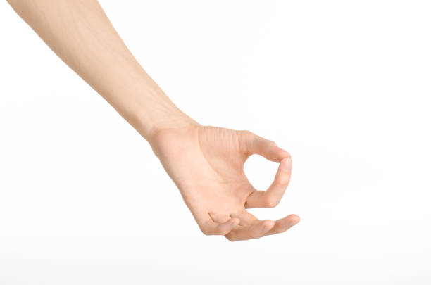 istock Hand gestures theme: the human hand shows gestures isolated on white background in studio 1045364522