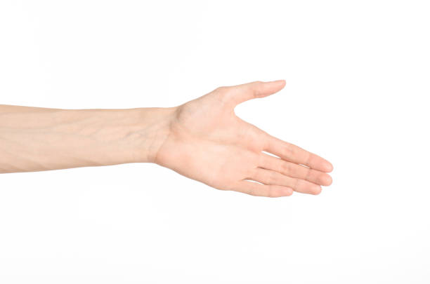 istock Hand gestures theme: the human hand shows gestures isolated on white background in studio 1045364576
