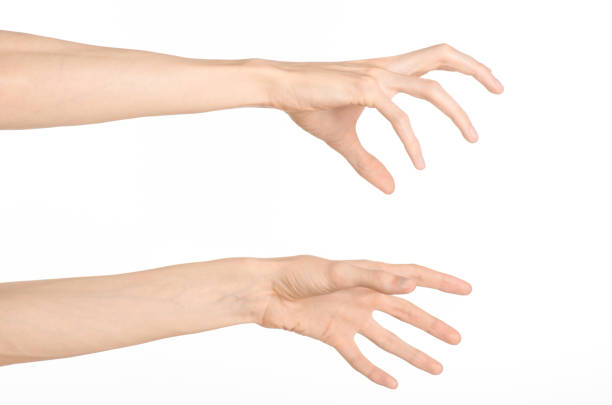 istock Hand gestures theme: the human hand shows gestures isolated on white background in studio 1045364784