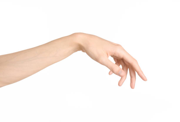 istock Hand gestures theme: the human hand shows gestures isolated on white background in studio 1045364860