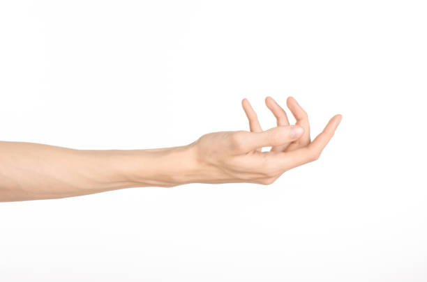 istock Hand gestures theme: the human hand shows gestures isolated on white background in studio 1045365006