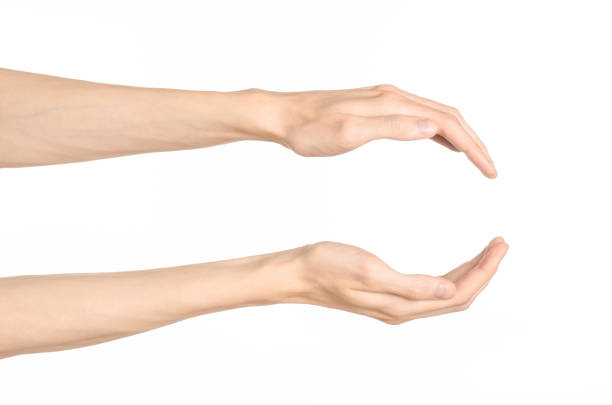 istock Hand gestures theme: the human hand shows gestures isolated on white background in studio 1045367146