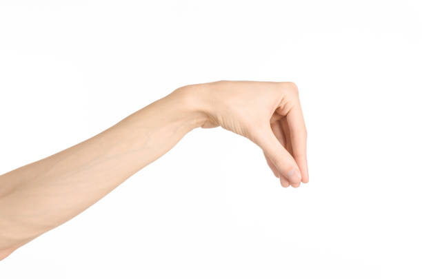istock Hand gestures theme: the human hand shows gestures isolated on white background in studio 1045367412