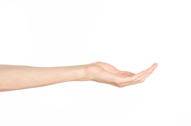 istock Hand gestures theme: the human hand shows gestures isolated on white background in studio 1045367430