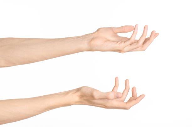 istock Hand gestures theme: the human hand shows gestures isolated on white background in studio 1045367492