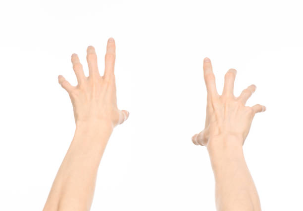 istock Gestures topic: human hand gestures showing first-person view isolated on white background in studio 1045367626