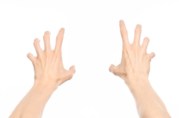istock Gestures topic: human hand gestures showing first-person view isolated on white background in studio 1045367642