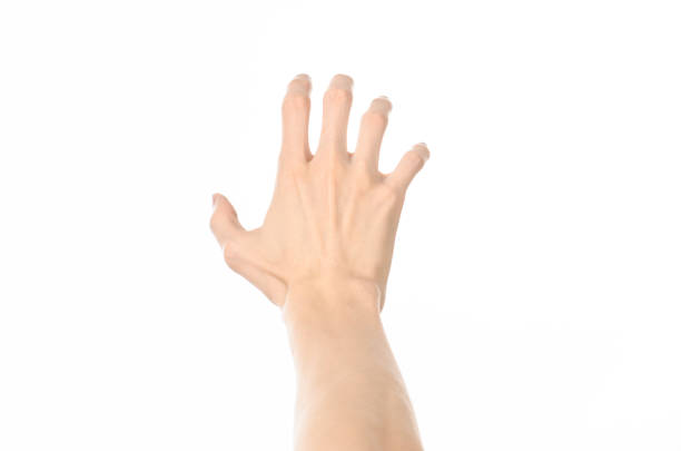 istock Gestures topic: human hand gestures showing first-person view isolated on white background in studio 1045368668