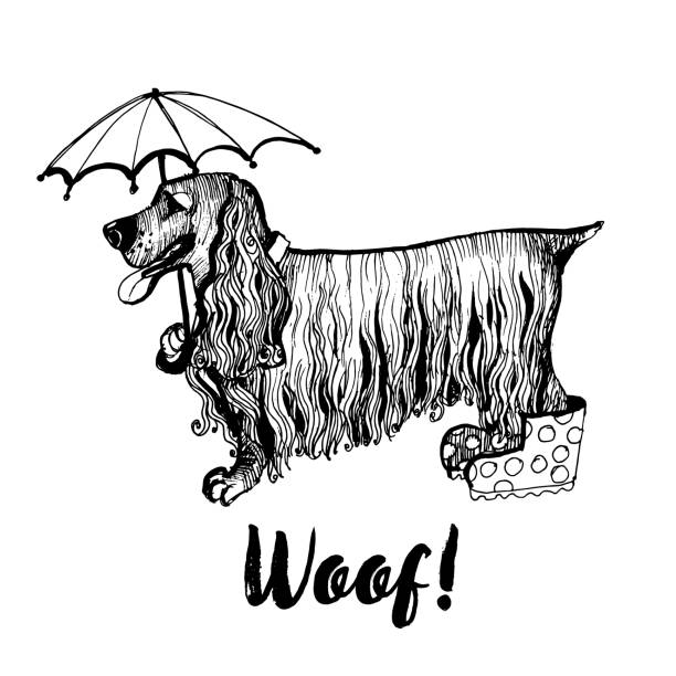 Cocker Spaniel Umbrella - Black on White Cocker Spaniel Umbrella - Black on White