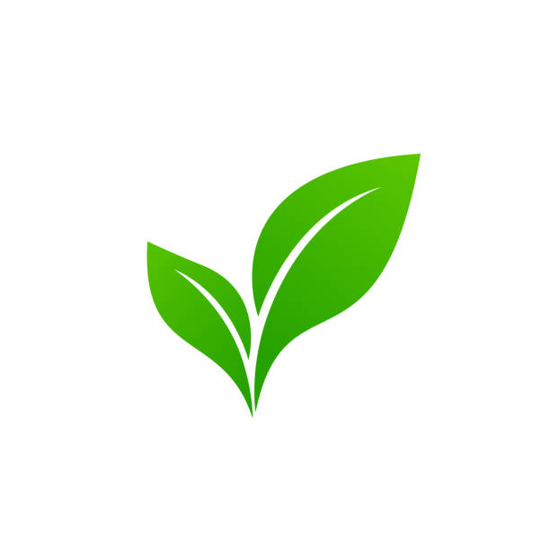 abstrakte grünes blatt logo symbol vektor-design. ökologie-icon-set. eco-symbol. - leaves stock-grafiken, -clipart, -cartoons und -symbole