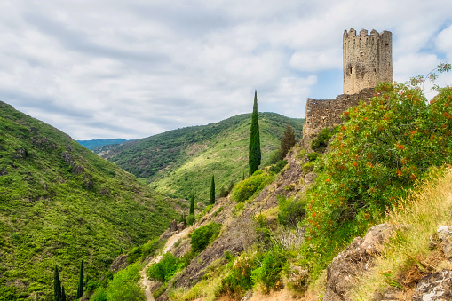 The cathar heritage of France