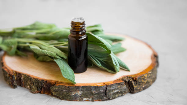 olio essenziale di salvia, olio essenziale di erbe aromaterapica, pianta medicinale - oli aromi e spezie foto e immagini stock