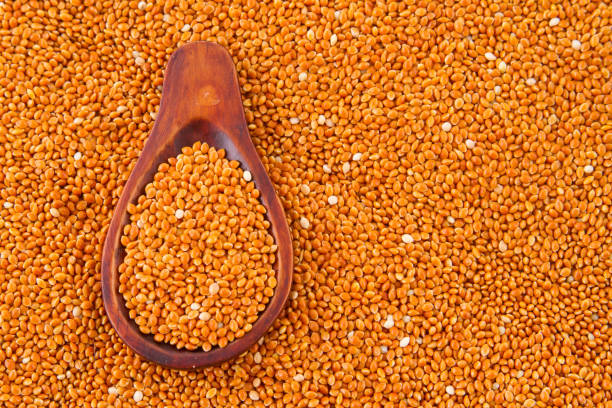 istock red millet grains with in wooden spoon 1045378174
