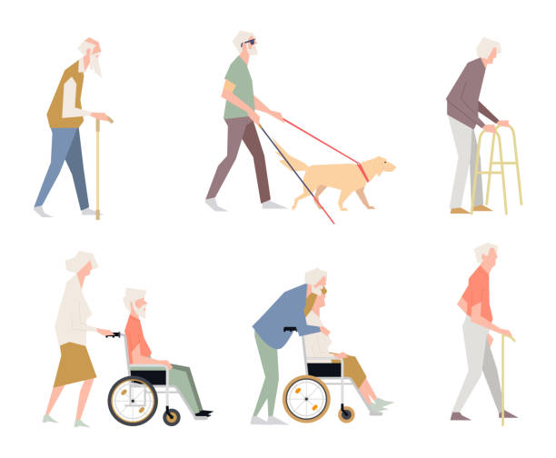 ilustrações de stock, clip art, desenhos animados e ícones de people are disabled on the street. pensioners on a wheelchair. a person with limited abilities. - senior adult dog medical equipment senior women