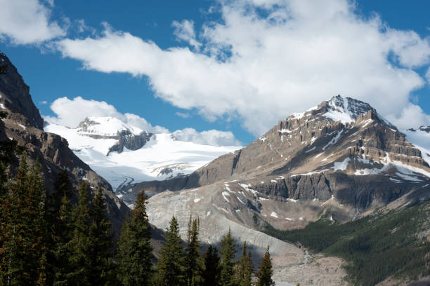 istock Glacier view at Peyto Lake 1045382884