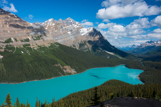istock Peyto Lake in Summer 1045382894