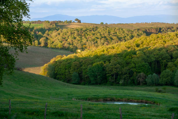istock Landscape of tuscan countryside in spring 1045384360