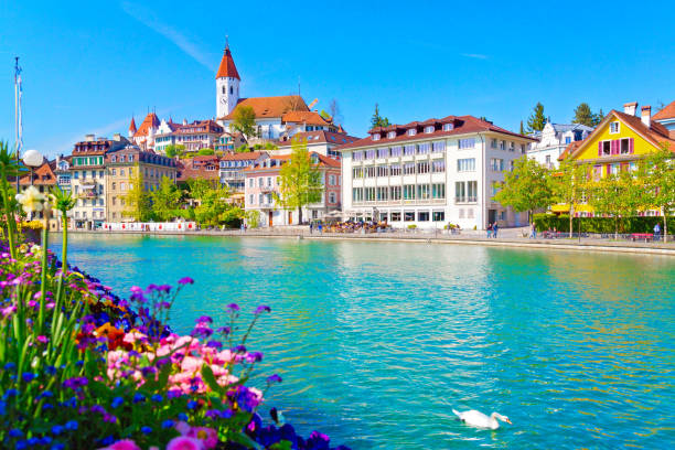 Thun, Switzerland Thun in summer, Switzerland lake thun stock pictures, royalty-free photos & images