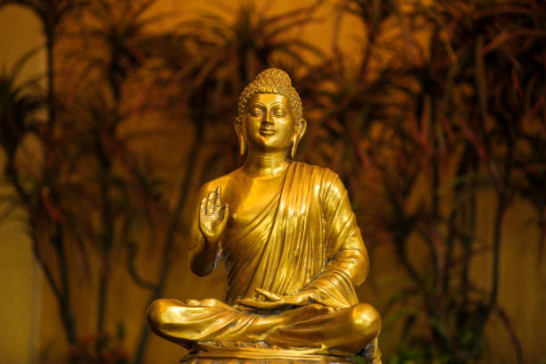 gott goutama buddha - vesak day stock-fotos und bilder