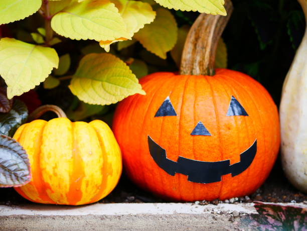 istock Halloween gardening decoration 1045394712