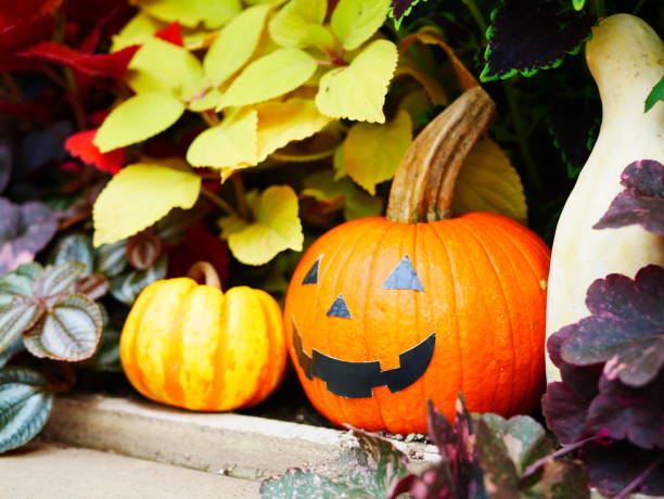 istock Halloween gardening decoration 1045394748
