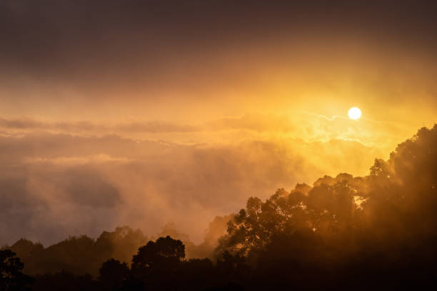 istock Rainforest with clouds and fog at sunrise 1045402270