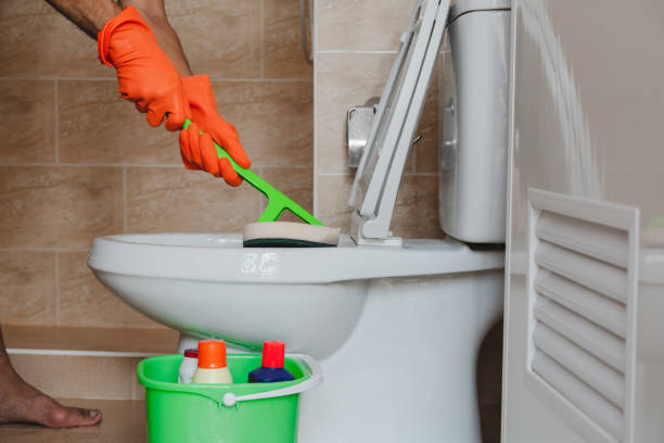 istock Cleaning the toilet 1045403748
