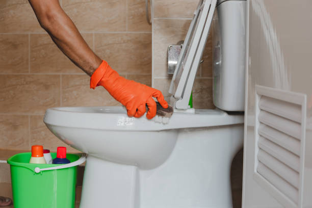istock Cleaning the toilet 1045403752