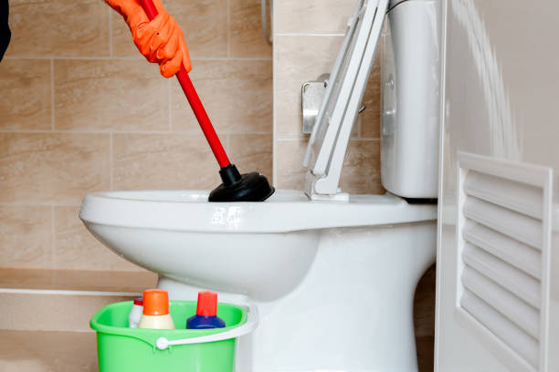 istock Cleaning the toilet 1045403768