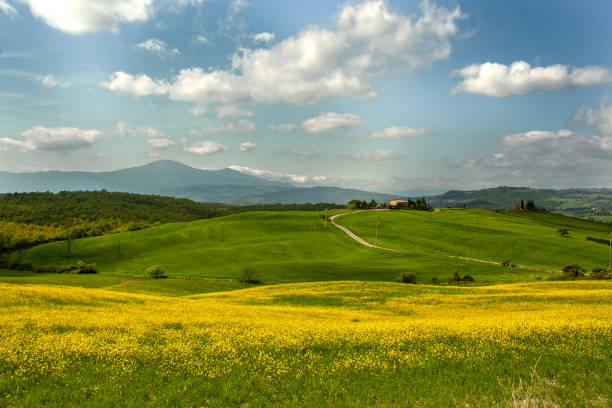istock Landscape of tuscan countryside 1045414456