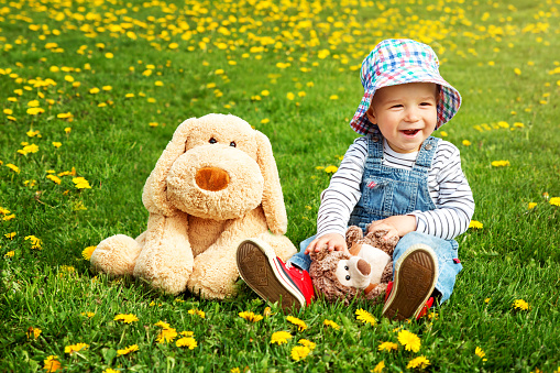 Little boy in hat standing on the field with soft toys in summer