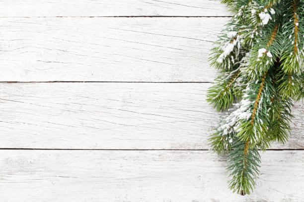 istock Christmas snow fir tree 1045420868