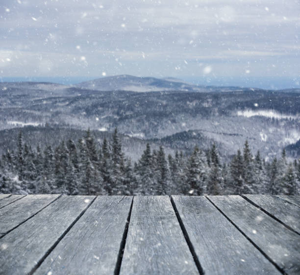 istock Snowy forest from home patio 1045425258
