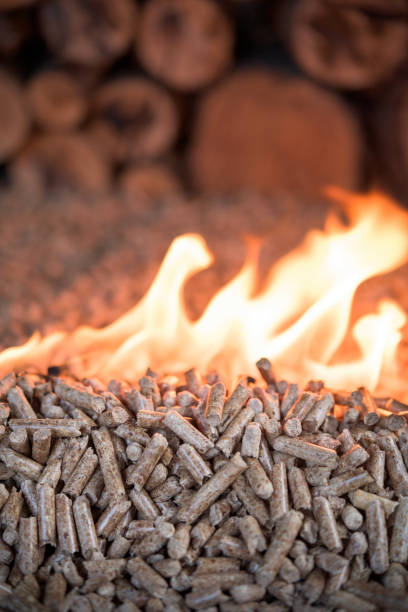 istock Pile of burning beech pellets - heating 1045435600