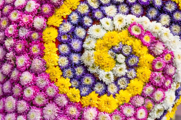 istock Colorful fresh flower background 1045438434