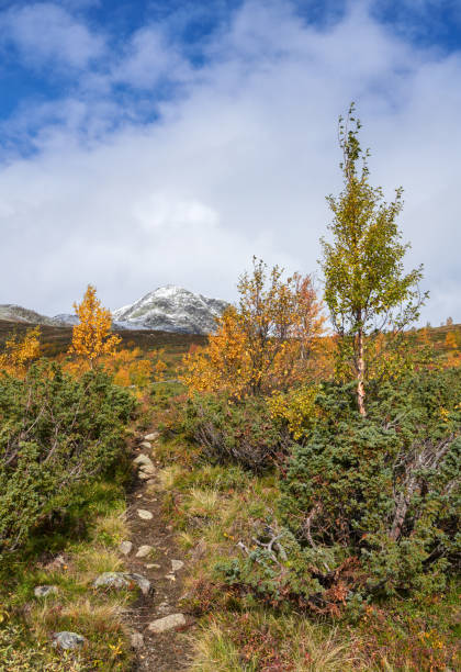 istock Mountain landscape in autumn with footpath, Hemsedal Buskerud- Norway 1045440384