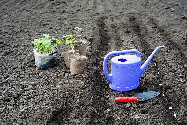 Watering can stock photo