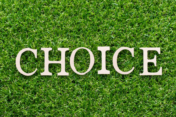 istock Wood alphabet in word choice on artificial green grass background 1045444158
