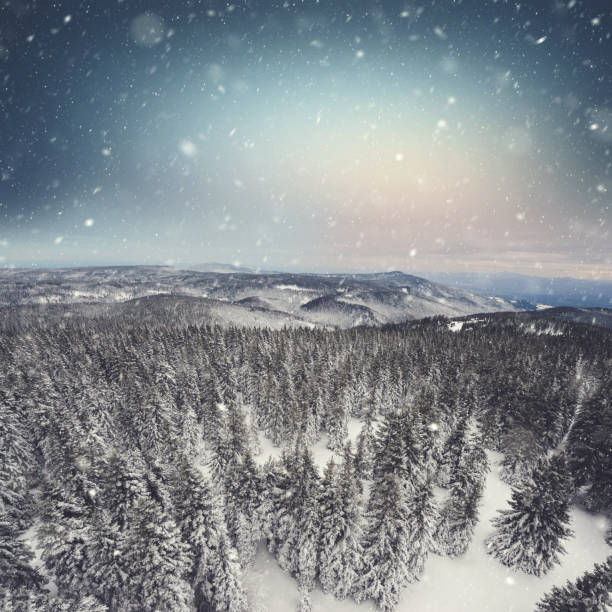 Beautiful Snowy Winter Morning From Above